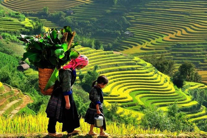 Sapa 2 Days 1 Night From Hanoi - Overnight in Hotel - Price and logistics: $89 for bus, hotel, guide, entrances, and meals