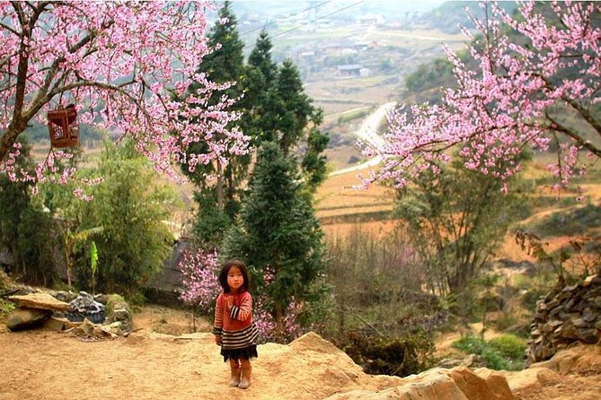 Sapa 3 Days 2 Nights Trekking Tour (1 Night In Ta Van Village, 1 Night In Hotel) - Group size and pace: who this works best for