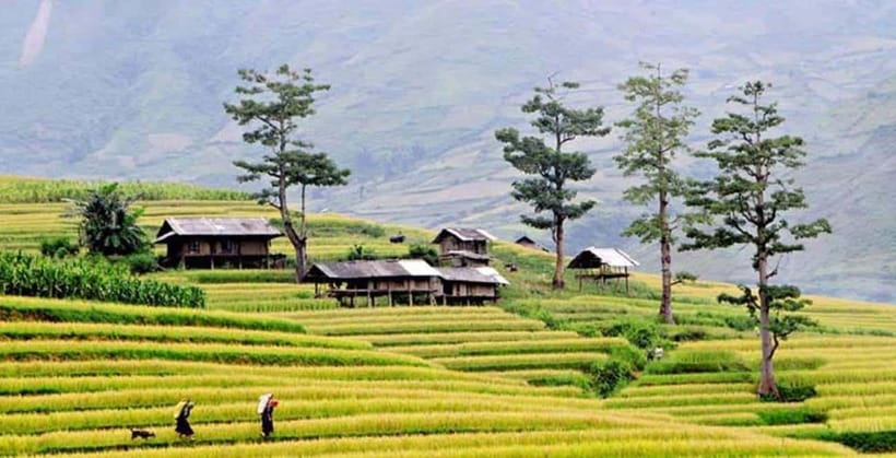 Sapa: Eco Adventure Terrace Fields and Local Villages Trek - Meeting at Sapa Church: what your morning run-up really looks like