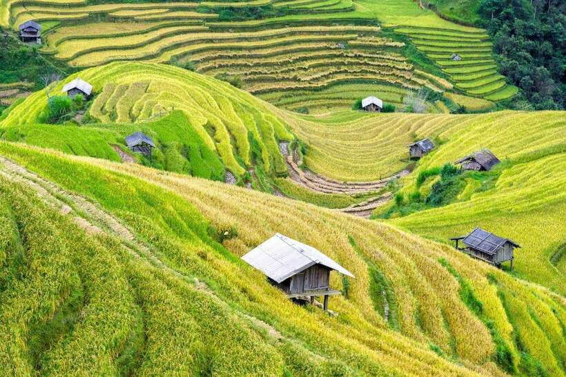 Sapa: Eco Adventure Terrace Fields and Local Villages Trek - Lao Chai Village and the clothing-making cultural stop