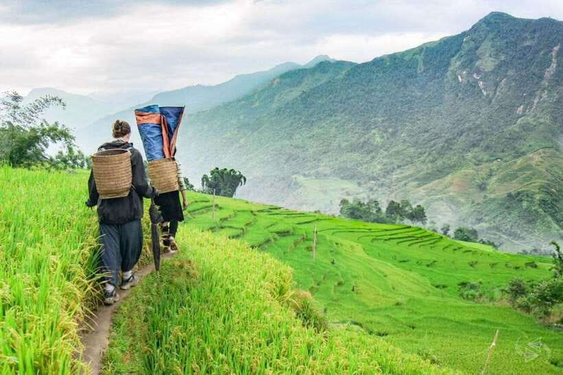 Sapa: Eco Adventure Terrace Fields and Local Villages Trek - Mud, fog, and shoe reality: the gear advice that actually helps