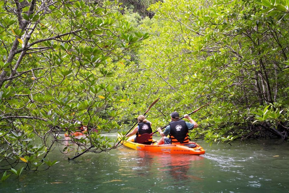 Sea Kayaking in Ao Thalane & Optional Full-Day Hong Island - Paddling the Narrow Mangrove Channels: Birds, Canyons, and Monkeys