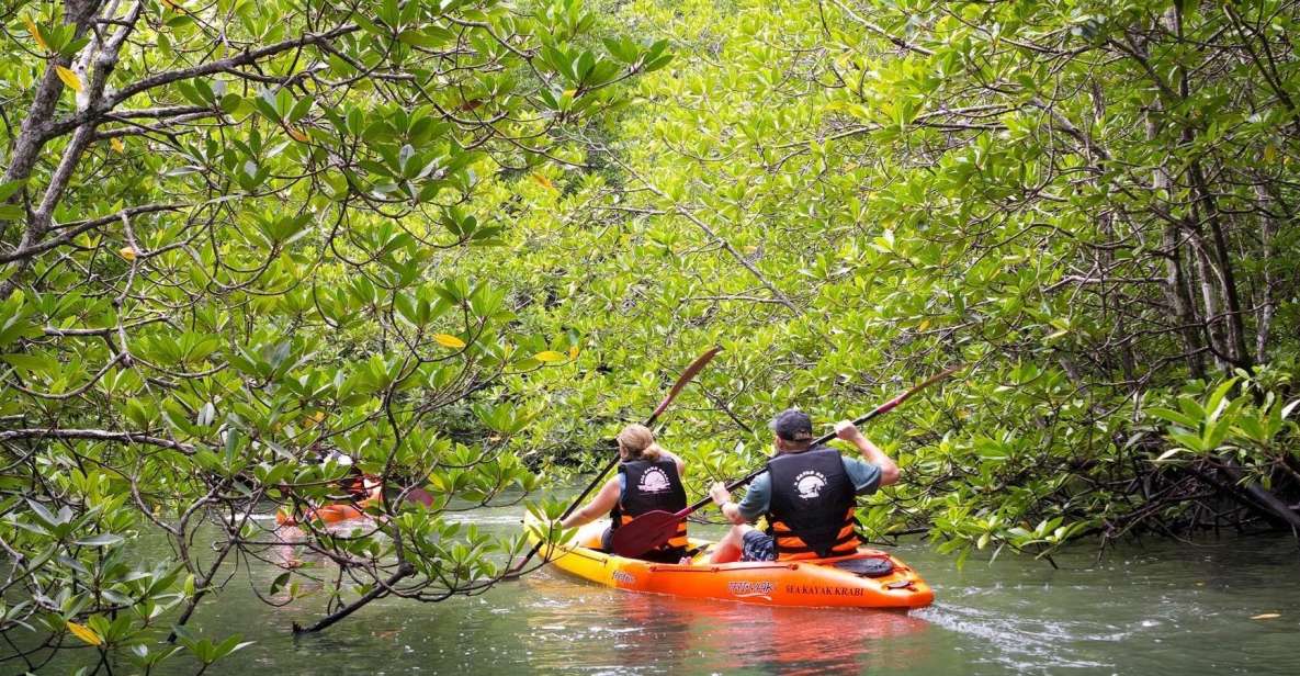 Sea Kayaking in Ao Thalane & Optional Full-Day Hong Island - Who This Kayaking Tour Fits Best (And Who Should Skip)