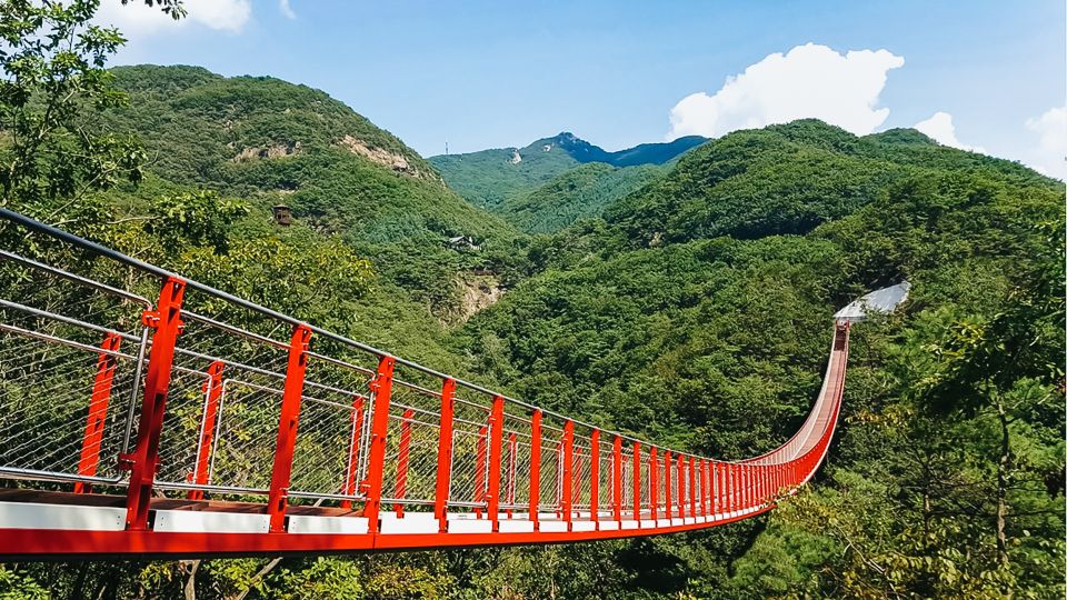 Seoul: DMZ, 3rd Tunnel and Optional Suspension Bridge Tour - Key things to know before you go