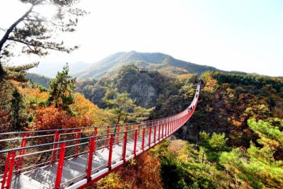 Seoul DMZ Tour with 3rd Tunnel and Red Suspension Bridge - Inside the 3rd Tunnel: Long, Low, and Definitely Not for Flustered Minds