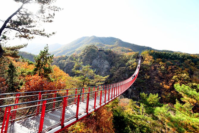 Seoul DMZ Tour with 3rd Tunnel and Red Suspension Bridge - Inside the 3rd Tunnel: Long, Low, and Definitely Not for Flustered Minds
