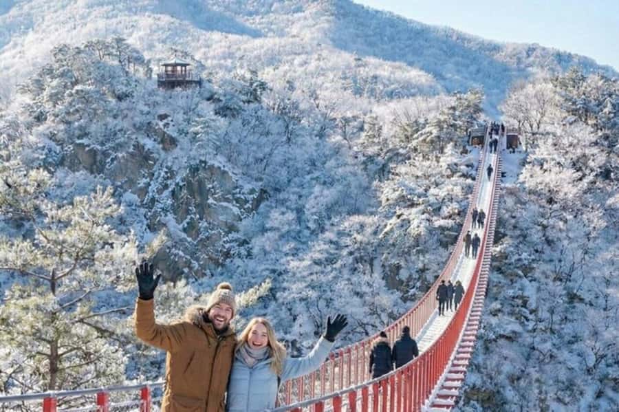 Seoul: DMZ Tour with Exclusive North Korean Defector Talk - The Price and Value: What $49 Gets You for 7–9 Hours