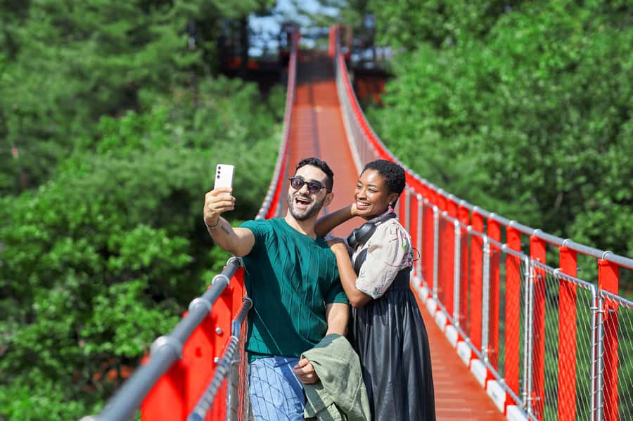 Seoul: DMZ Tour with Optional Suspension Bridge and Gondola - Key highlights before you go