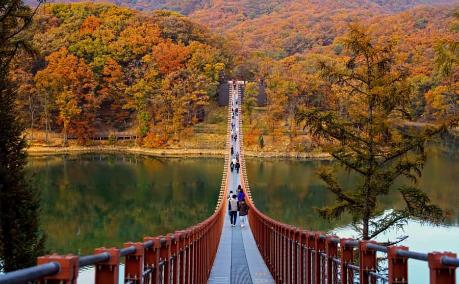 Seoul: DMZ Tour with Optional Suspension Bridge and Gondola - DMZ from Seoul: what this day actually feels like