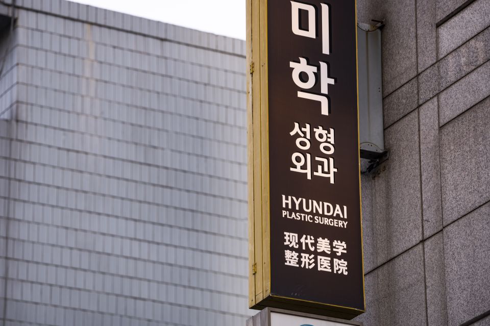 Seoul: Gangnam Tour on Youth and Society in South Korea - Beauty Clinics and the Plastic Surgery Boom: What You’ll Actually Understand