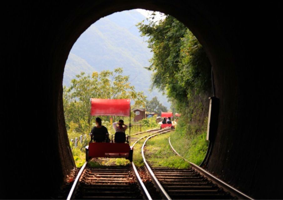 Seoul: Gangwon-do Day Trip with Alpaca World & Nami Island - Getting Back to Seoul: Hongik University Drop-Off and Your Timing