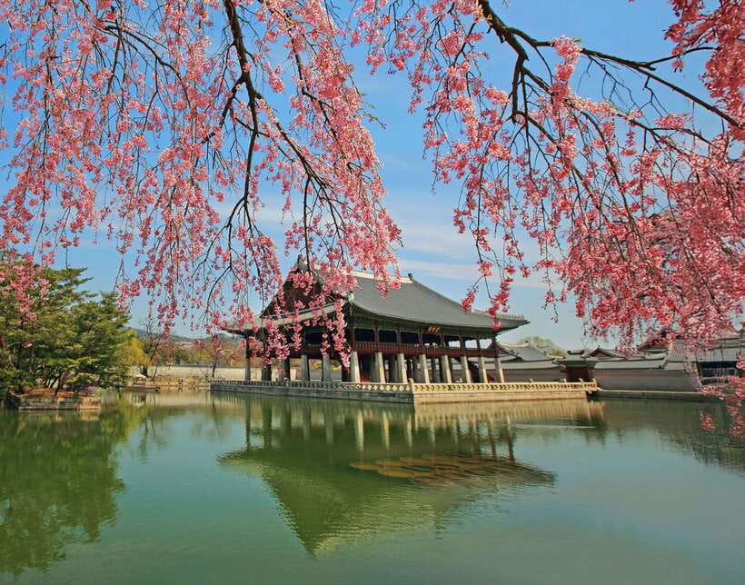 Seoul Highlights: Gyeongbok Palace, Insadong & N Seoul Tower - Quick reasons this tour works