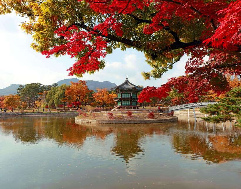 Seoul Highlights: Gyeongbok Palace, Insadong & N Seoul Tower - Insadong Free Time for Tea, Crafts, and a Lunch Plan You Control