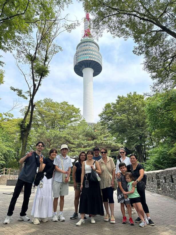 Seoul Highlights: Gyeongbok Palace, Insadong & N Seoul Tower - Price and Value for about $26: What You’re Really Getting