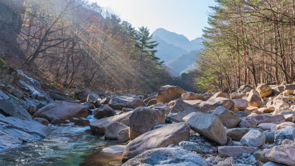Seoul: Mt Seorak + Naksansa Temple or Nami Island Group Tour - Mt Seorak Day Trip Value: Why This Works From Seoul