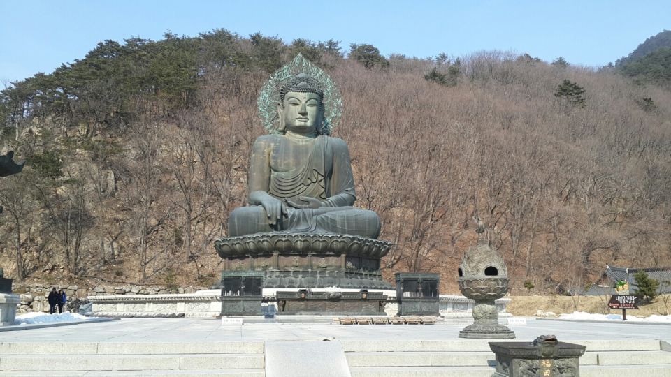 Seoul: Mt Seorak + Naksansa Temple or Nami Island Group Tour - Two Tour Options, Two Moods: Naksansa Temple vs Nami Island