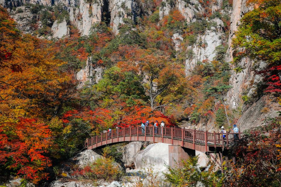Seoul: Mt Seorak + Naksansa Temple or Nami Island Group Tour - The Full Itinerary, Plain and Practical