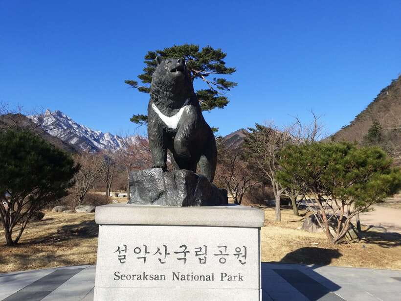 Seoul: Mt.Seorak, Nami Island & Korean Garden, No Shopping - Key things that make this tour work