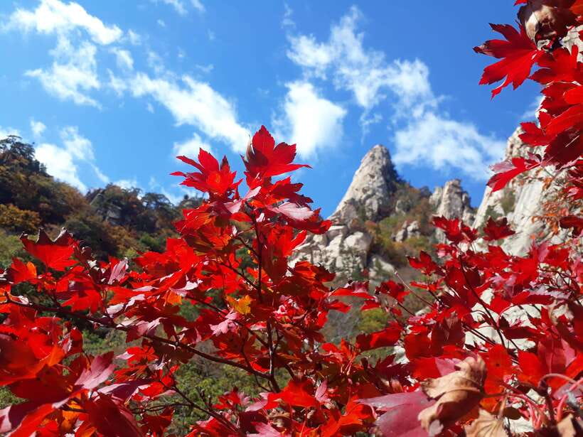 Seoul: Mt.Seorak, Nami Island & Korean Garden, No Shopping - Choosing your trail mindset: views first, energy second