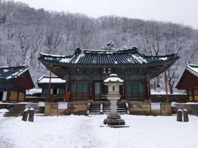 Seoul: Mt.Seorak, Nami Island & Korean Garden, No Shopping - Shinheungsa Temple and the cable-car option when weather allows