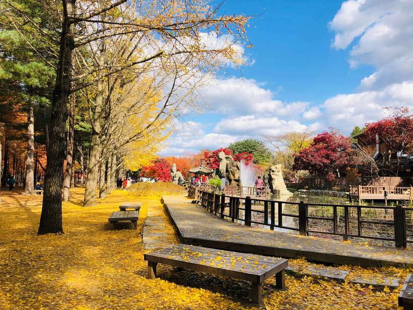 Seoul: Mt.Seorak, Nami Island & Korean Garden, No Shopping - Transport from Seoul: air-conditioned comfort, long day math, and drop-off points
