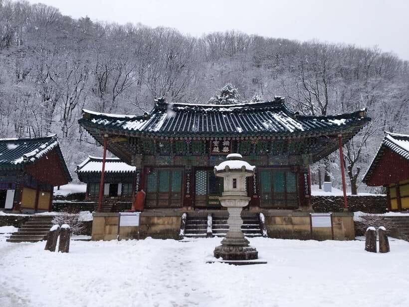 Seoul: Mt.Seorak, Nami Island & Korean Garden, No Shopping - Shinheungsa Temple and the cable-car option when weather allows