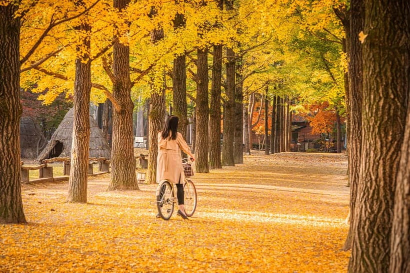 Seoul: Nami Island and Garden of Morning Calm (+Railbike) - Gangchon Rail Bike: Your Slow Ride on an Old Train Track