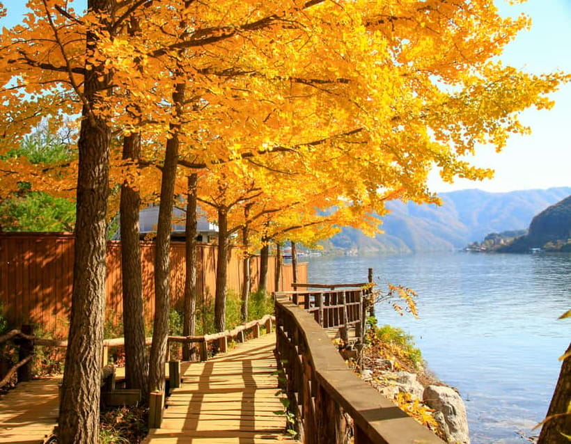 Seoul: Nami Island and Garden of Morning Calm (+Railbike) - Tips That Make the Day Go Smoother
