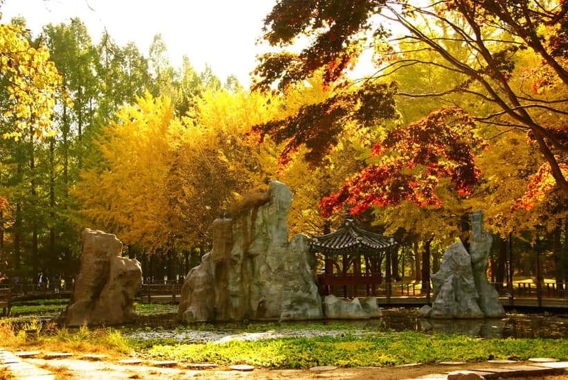 Seoul: Nami Island and Garden of Morning Calm (+Railbike) - Should You Book This Nami Island and Garden of Morning Calm Tour?