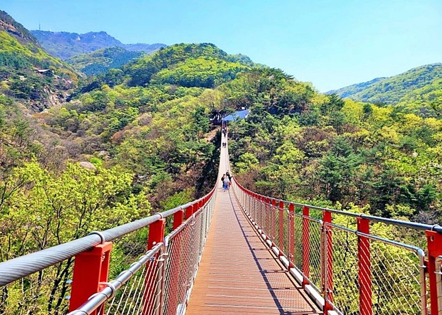 Seoul: Small-Group DMZ Tour with North Korea Experience Hall - Gamaksan Suspension Bridge: fresh mountain air after heavy stops