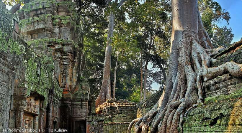 Siem Reap: Angkor Wat: Small-Group Sunrise Tour - Sunrise at Angkor Wat: why timing matters in Siem Reap