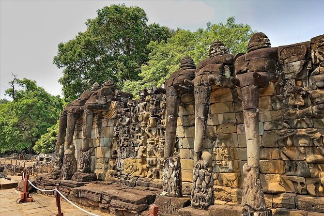 Siem Reap: Bike the Angkor Temples - Full-Day 30km Tour - Ta Prohm in the afternoon: roots, shade, and photo time