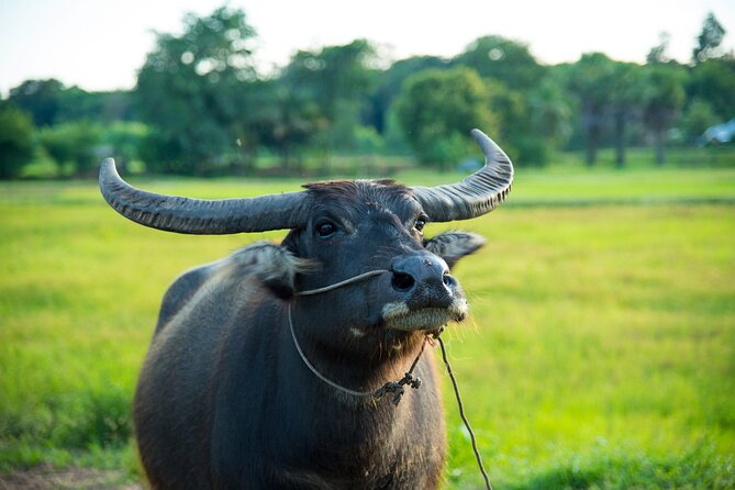 Siem Reap Countryside Bike Tour / E-Bike or Tuk Tuk - What to Bring for a Comfortable Countryside Ride