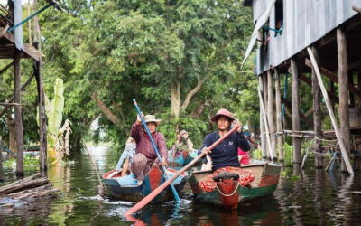 Siem Reap: Kompong Phluk Floating Village Half-Day Tour - Motorboat cruising through stilt houses: where the tour becomes real