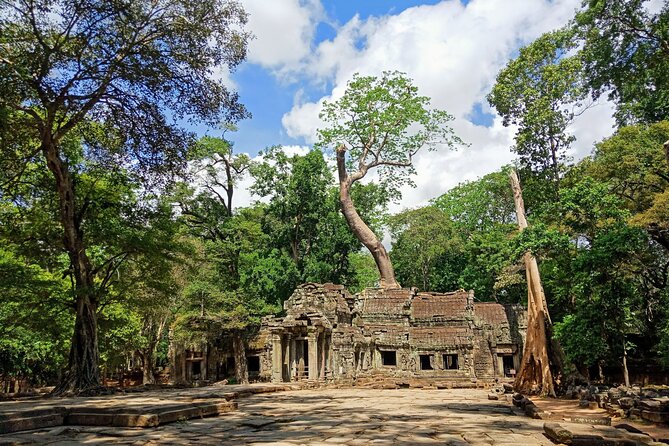 Siem Reap Tour: Angkor Wat Sunrise, Bayon, Ta Prohm, Banteay Srei - Ta Prohm: The Jungle Temple That Feels Like Another World