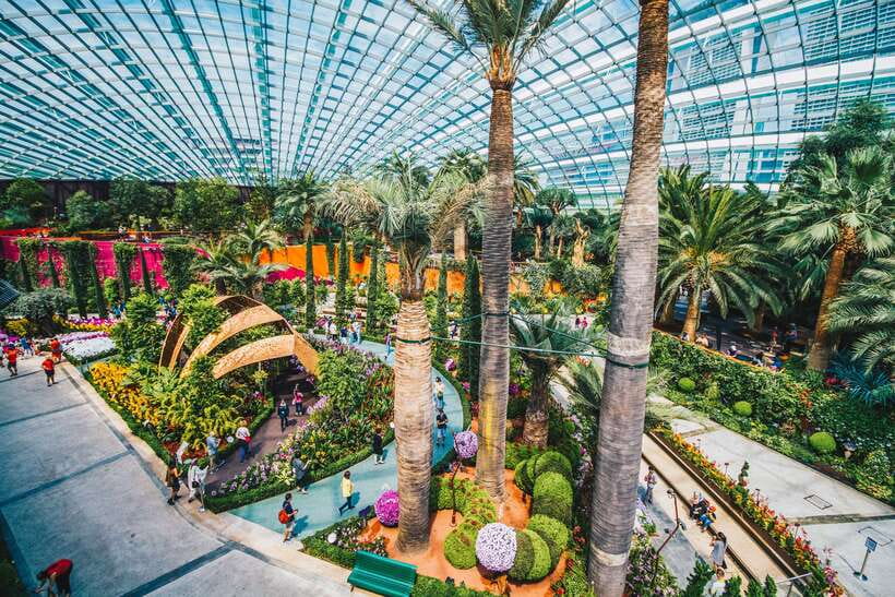 Singapore: Gardens by the Bay Admission E-Ticket - Flower Dome: rare plants, five-continent themes, and an honest expectation check