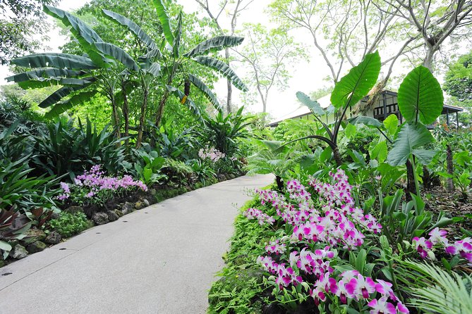 Singapore Morning City Tour - Singapore Botanic Gardens plus the National Orchid Garden hour