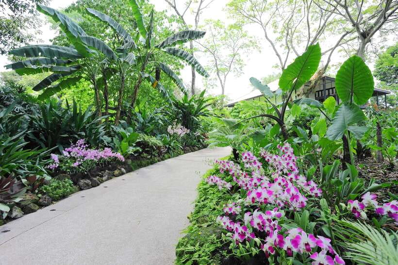 Singapore: National Orchid Garden Entry Tickets - Key things to know before you go