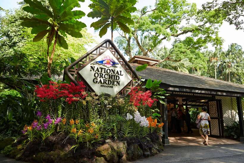 Singapore: National Orchid Garden Entry Tickets - National Orchid Garden Entry: what you’re really buying