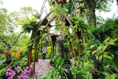 Singapore: National Orchid Garden Entry Tickets - Where it fits in a Singapore day (and why Botanic Gardens helps)