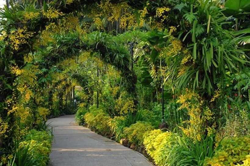 Singapore: National Orchid Garden Entry Tickets - Indoors, outdoors, and why the garden feels bigger than it is