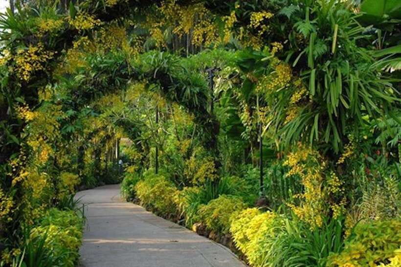 Singapore: National Orchid Garden Entry Tickets - Ticket timing, entry hours, and planning your route