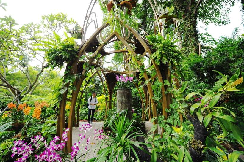 Singapore: National Orchid Garden Entry Tickets - Where it fits in a Singapore day (and why Botanic Gardens helps)
