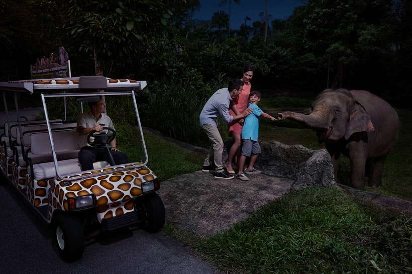 Singapore: Night Safari Entry Ticket with Tram Ride - Key things that make this Night Safari ticket worth your time