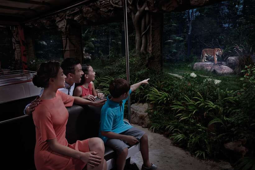 Singapore: Night Safari Entry Ticket with Tram Ride - Leopard Trail: the up-close walk where big cats do not care about your photos