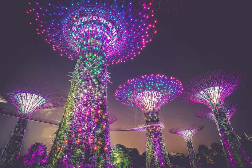 Singapore River Cruise, Garden Rhapsody & Spectra by CYT - Singapore River Cruise: 30–40 Minutes of Old Quays Meets New Towers