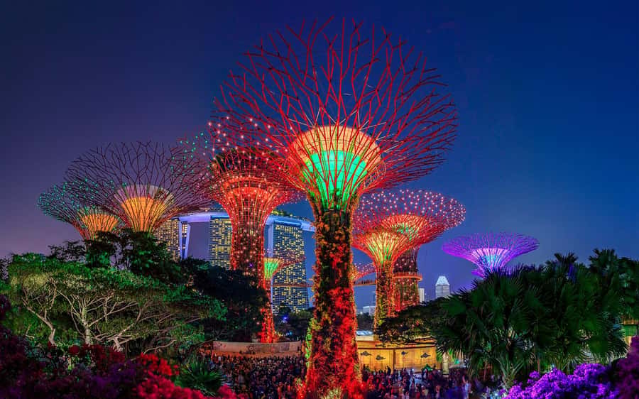 Singapore Starry Night: Cruise, Garden Rhapsody & Spectra - Key Moments That Make This Tour Worth It