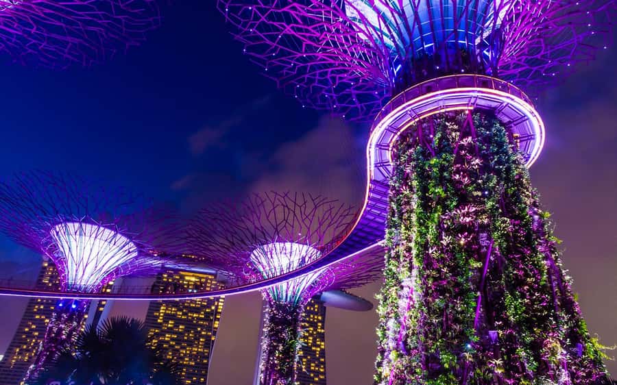 Singapore Starry Night: Cruise, Garden Rhapsody & Spectra - Should You Book Singapore Starry Night?