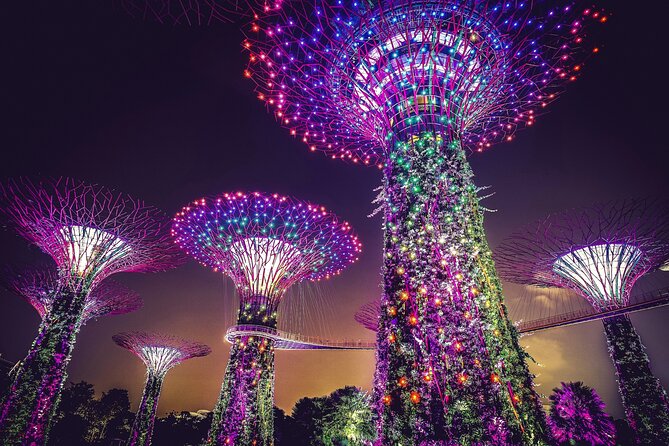Singapore Starry Night Cruise, Garden Rhapsody & Spectra Show - A 5:30pm start that hits Singapore at peak glow