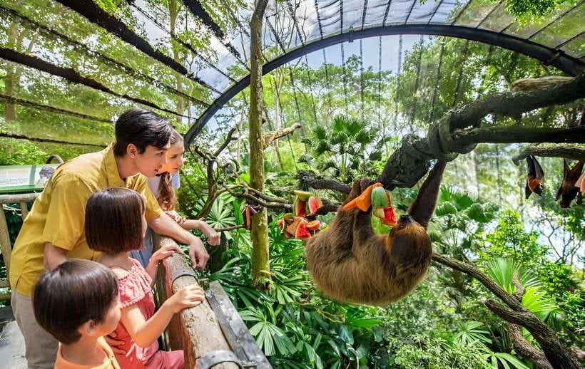 Singapore Zoo: 1-Day Entrance E-Ticket - Key highlights you should know